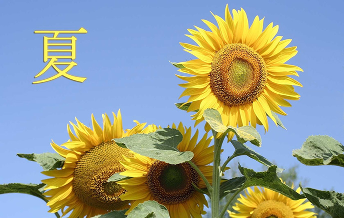 miniBanner