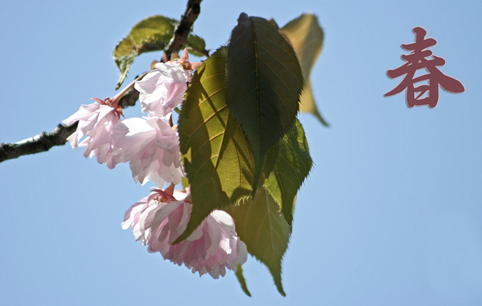 miniBanner2