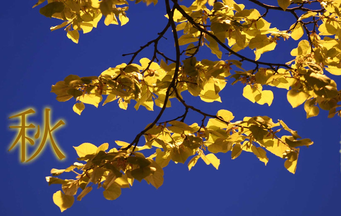 miniBanner3